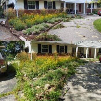 Property Maintenance - Image 2