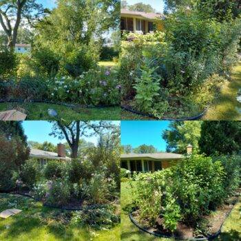 Property Maintenance - Image 3