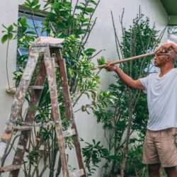 Property Maintenance